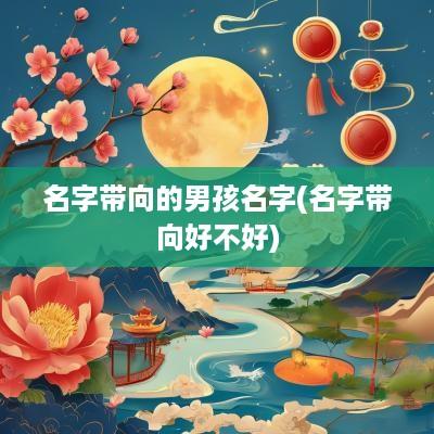 名字带向的男孩名字(名字带向好不好)