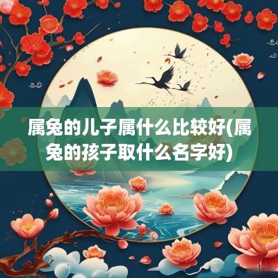 属兔的儿子属什么比较好(属兔的孩子取什么名字好)