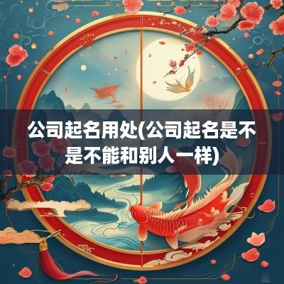 公司起名用处(公司起名是不是不能和别人一样)