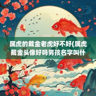 属虎的戴金老虎好不好(属虎戴金头像好吗男孩名字叫什么)
