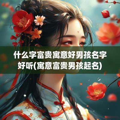 什么字富贵寓意好男孩名字好听(寓意富贵男孩起名)