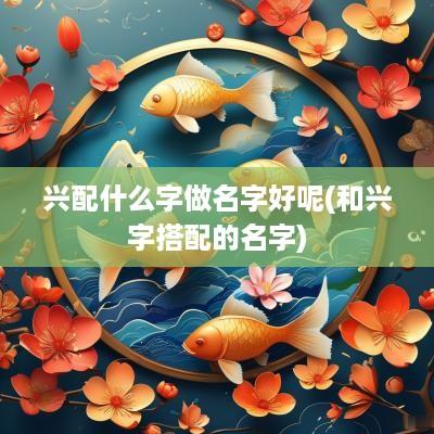 兴配什么字做名字好呢(和兴字搭配的名字)