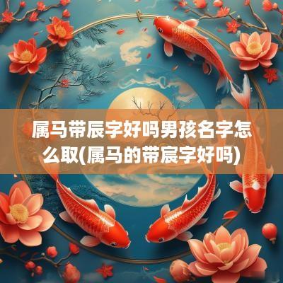 属马带辰字好吗男孩名字怎么取(属马的带宸字好吗)