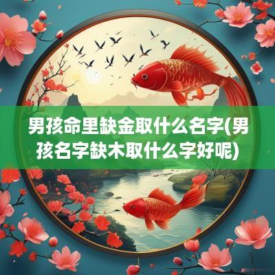 男孩命里缺金取什么名字(男孩名字缺木取什么字好呢)