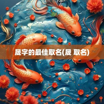 晟字的最佳取名(晟 取名)