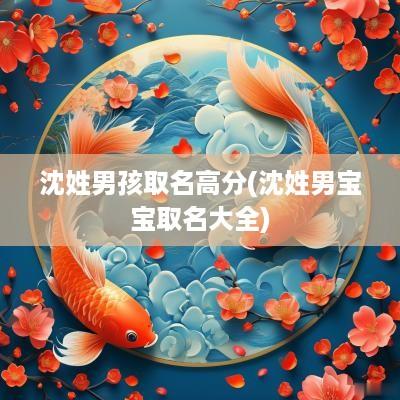 沈姓男孩取名高分(沈姓男宝宝取名大全)