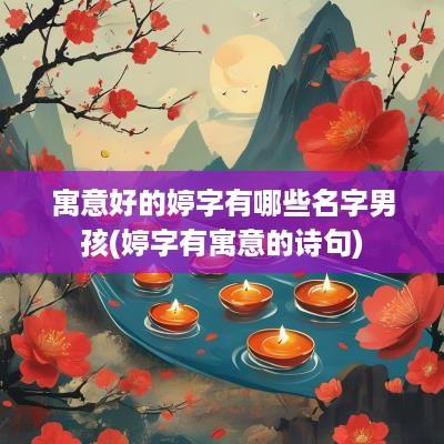寓意好的婷字有哪些名字男孩(婷字有寓意的诗句)
