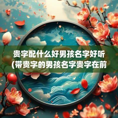 贵字配什么好男孩名字好听(带贵字的男孩名字贵字在前面)