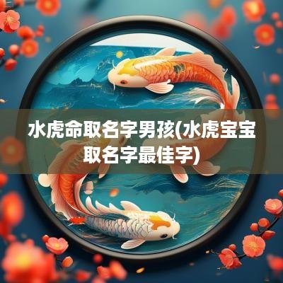 水虎命取名字男孩(水虎宝宝取名字最佳字)