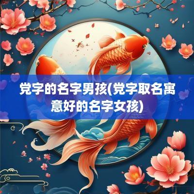 党字的名字男孩(党字取名寓意好的名字女孩)
