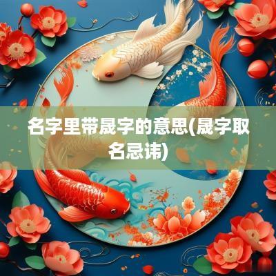 名字里带晟字的意思(晟字取名忌讳)