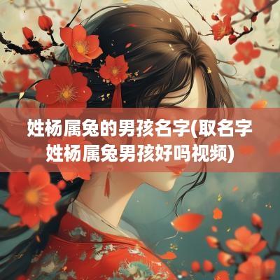 姓杨属兔的男孩名字(取名字姓杨属兔男孩好吗视频)
