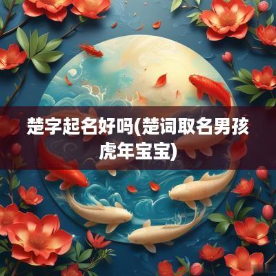 楚字起名好吗(楚词取名男孩蛇年宝宝)