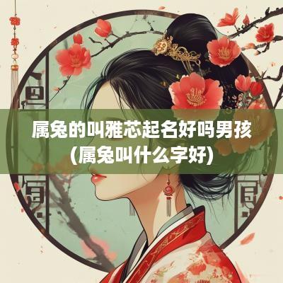 属兔的叫雅芯起名好吗男孩(属兔叫什么字好)