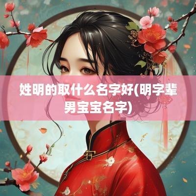 姓明的取什么名字好(明字辈男宝宝名字)