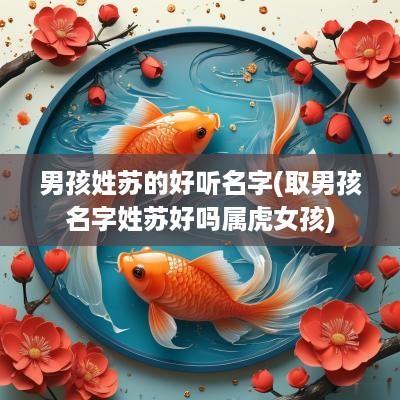 男孩姓苏的好听名字(取男孩名字姓苏好吗属虎女孩)