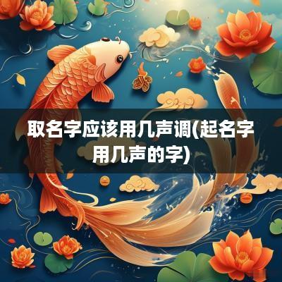取名字应该用几声调(起名字用几声的字)