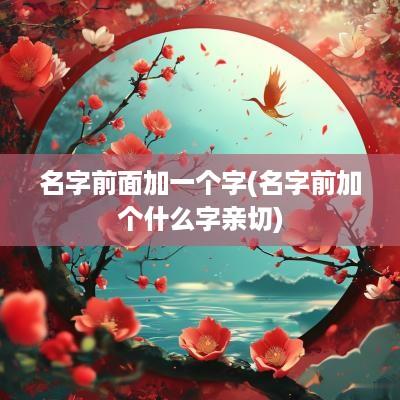 名字前面加一个字(名字前加个什么字亲切)