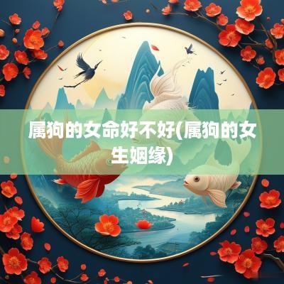 属狗的女命好不好(属狗的女生姻缘)