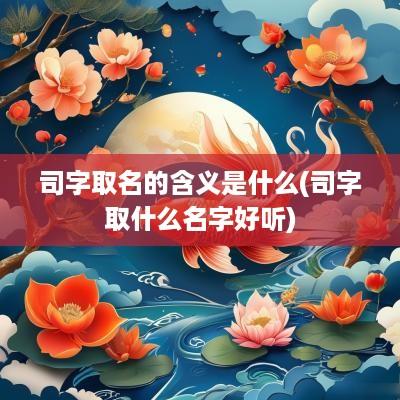 司字取名的含义是什么(司字取什么名字好听)