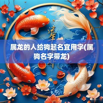 属龙的人给狗起名宜用字(属狗名字带龙)