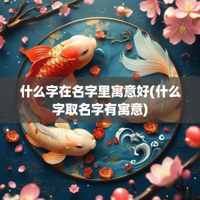 什么字在名字里寓意好(什么字取名字有寓意)