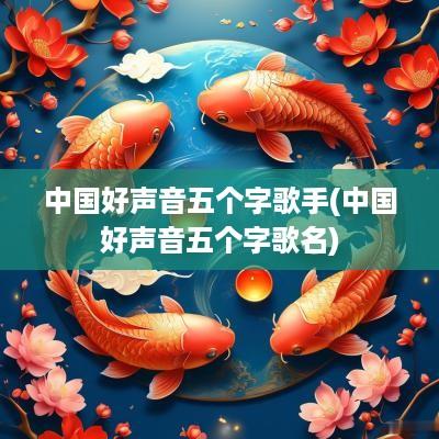 中国好声音五个字歌手(中国好声音五个字歌名)