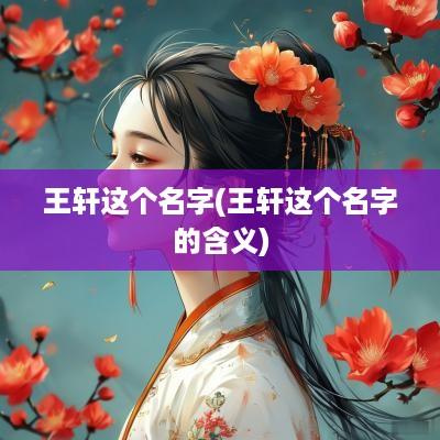 王轩这个名字(王轩这个名字的含义)