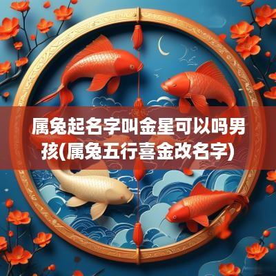 属兔起名字叫金星可以吗男孩(属兔五行喜金改名字)