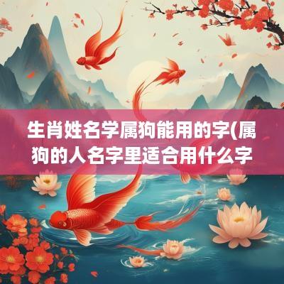 生肖姓名学属狗能用的字(属狗的人名字里适合用什么字)