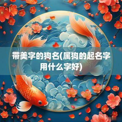 带美字的狗名(属狗的起名字用什么字好)