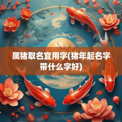 属猪取名宜用字(猪年起名字带什么字好)