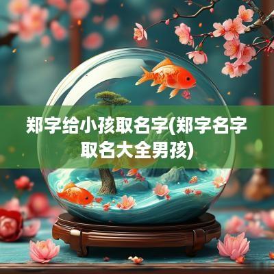 郑字给小孩取名字(郑字名字取名大全男孩)