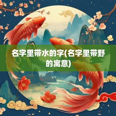 名字里带水的字(名字里带野的寓意)