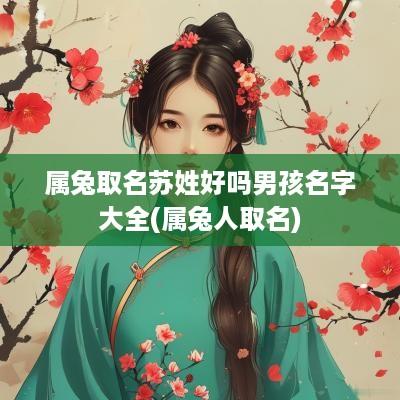 属兔取名苏姓好吗男孩名字大全(属兔人取名)