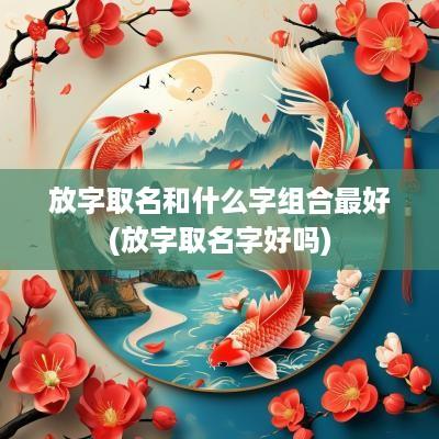 放字取名和什么字组合最好(放字取名字好吗)