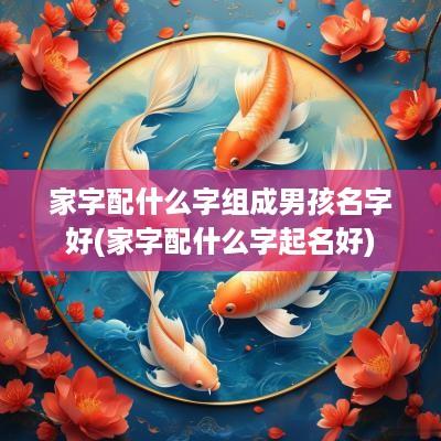 家字配什么字组成男孩名字好(家字配什么字起名好)
