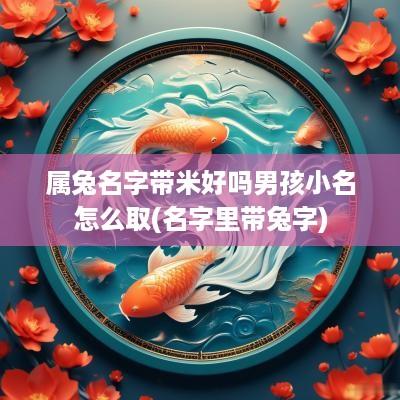 属兔名字带米好吗男孩小名怎么取(名字里带兔字)