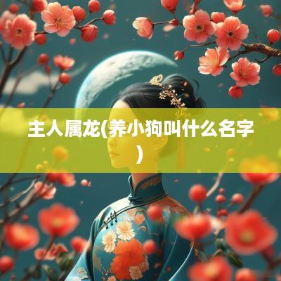 主人属龙(养小狗叫什么名字)