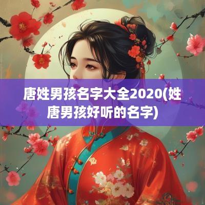 唐姓男孩名字大全2025(姓唐男孩好听的名字)