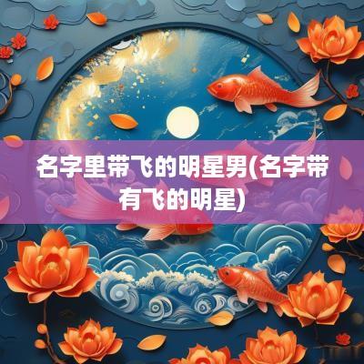 名字里带飞的明星男(名字带有飞的明星)