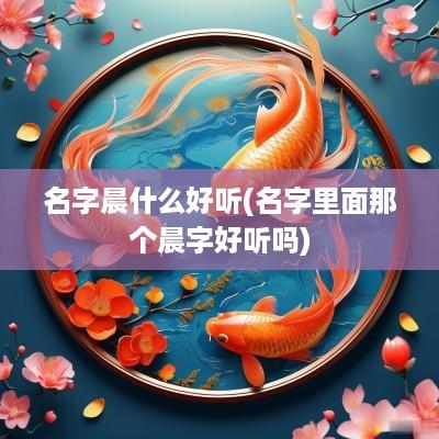 名字晨什么好听(名字里面那个晨字好听吗)