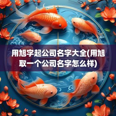用旭字起公司名字大全(用旭取一个公司名字怎么样)