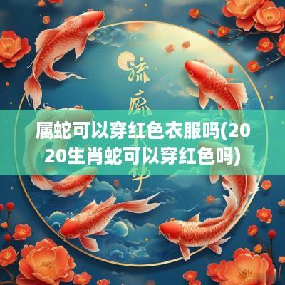 属蛇可以穿红色衣服吗(2025生肖蛇可以穿红色吗)
