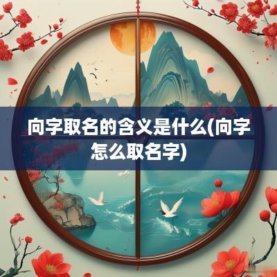 向字取名的含义是什么(向字怎么取名字)