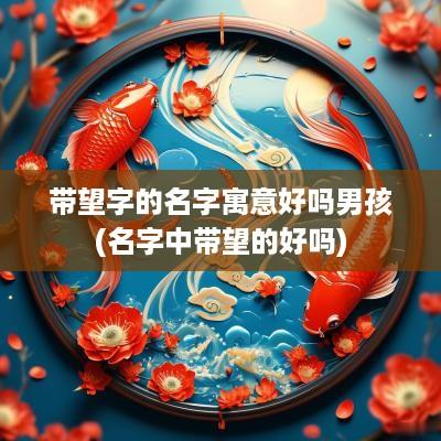 带望字的名字寓意好吗男孩(名字中带望的好吗)