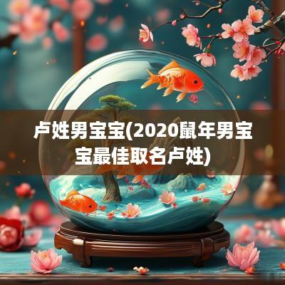 卢姓男宝宝(2025蛇年男宝宝最佳取名卢姓)