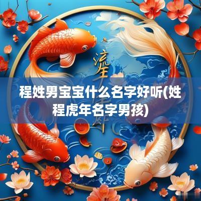 程姓男宝宝什么名字好听(姓程蛇年名字男孩)