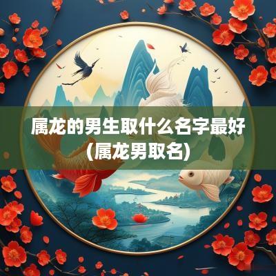 属龙的男生取什么名字最好(属龙男取名)