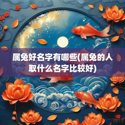 属兔好名字有哪些(属兔的人取什么名字比较好)